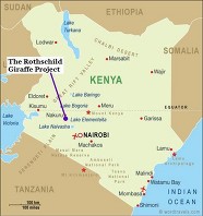 RGP location