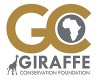 GCF Logo